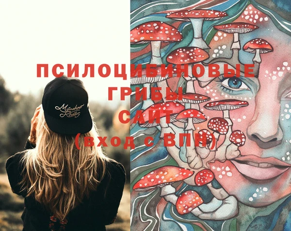 не бодяженный Ладушкин