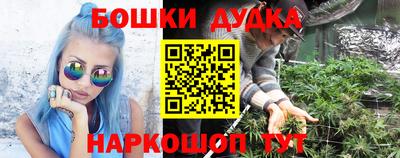 гидра Гагарин