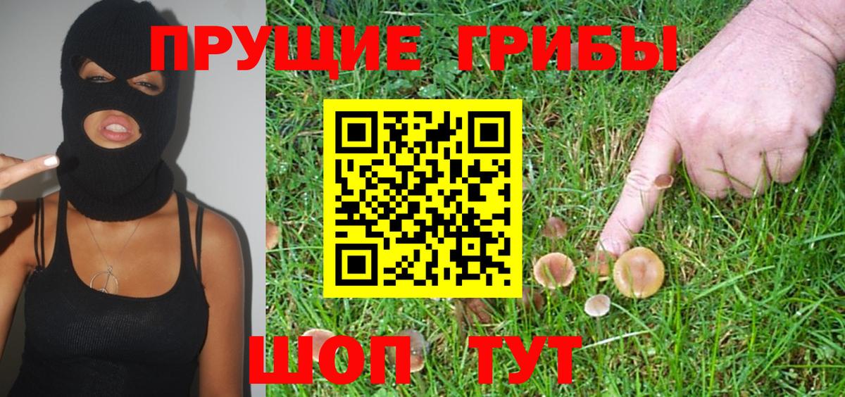 Псилоцибиновые грибы MAGIC MUSHROOMS Дмитров