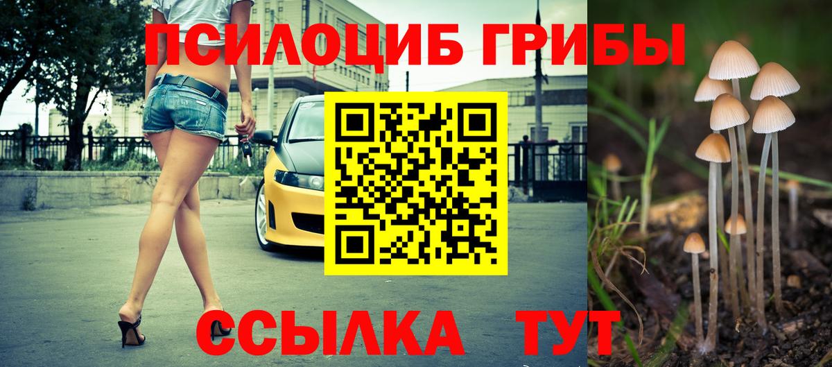 Галлюциногенные грибы GOLDEN TEACHER  Дмитров 